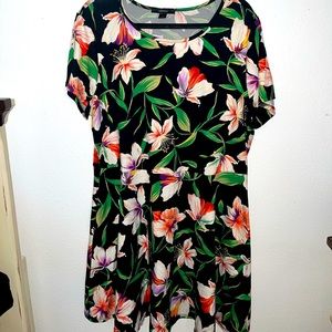 Forever 21 Plus Size Skater Dress